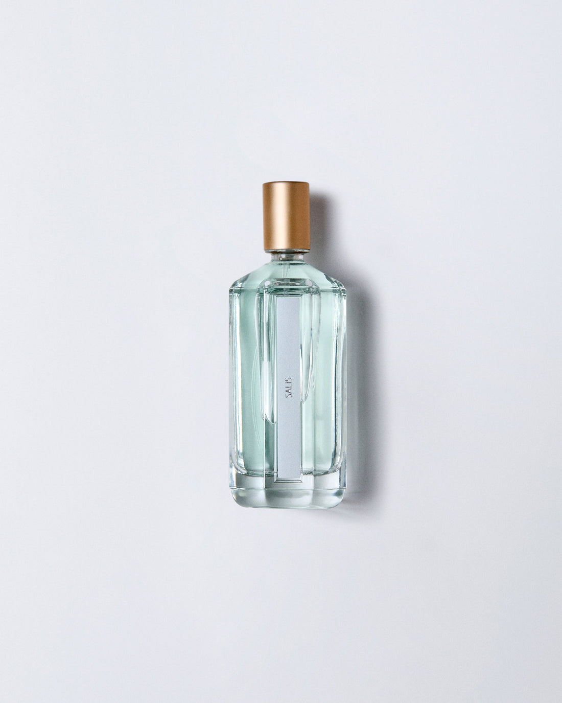 SALIS ROOM SPRAY 100 ml